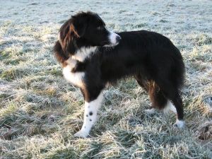 300Kopie von Img_1928.jpg